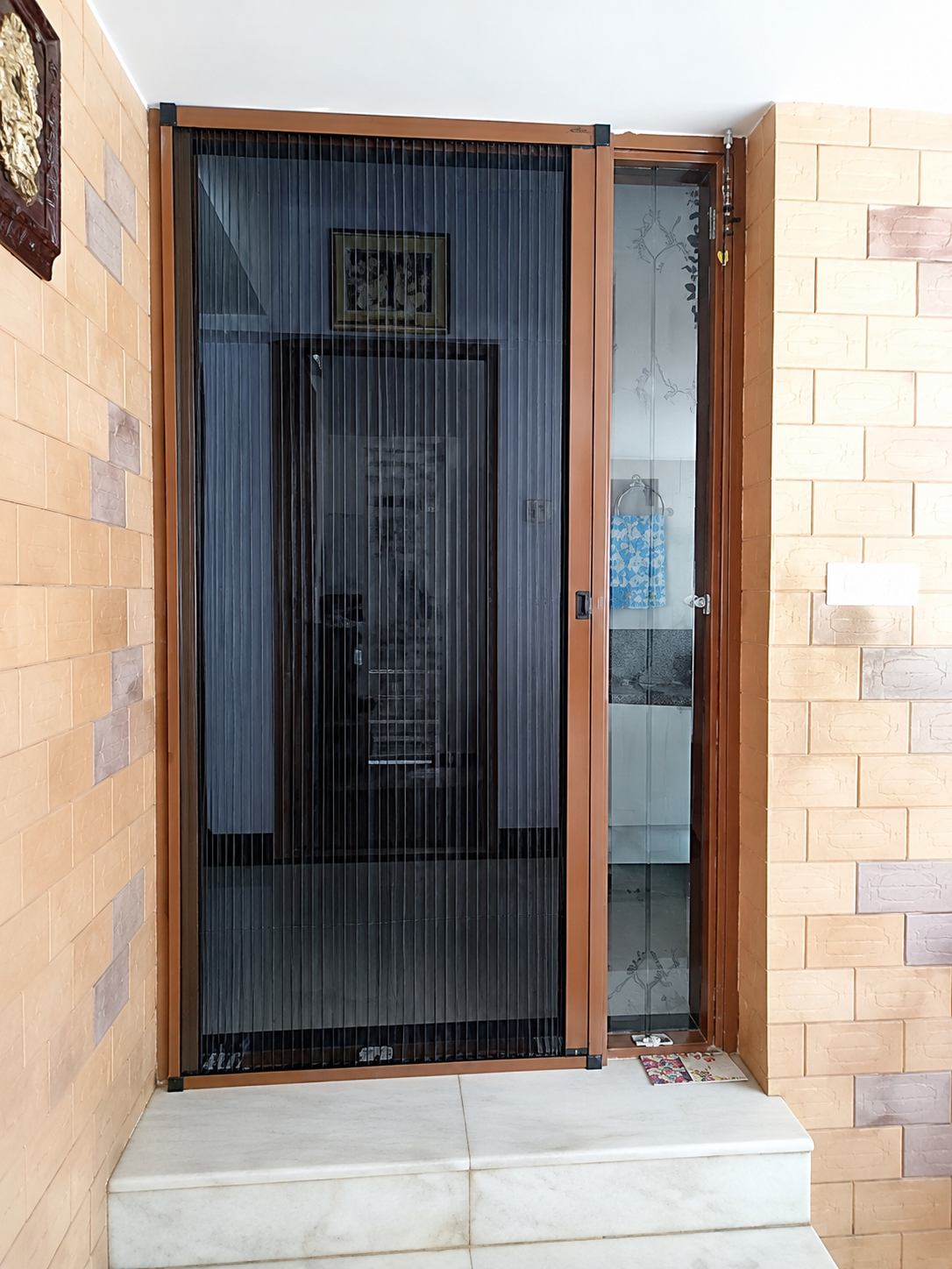 Mosquito Net Door